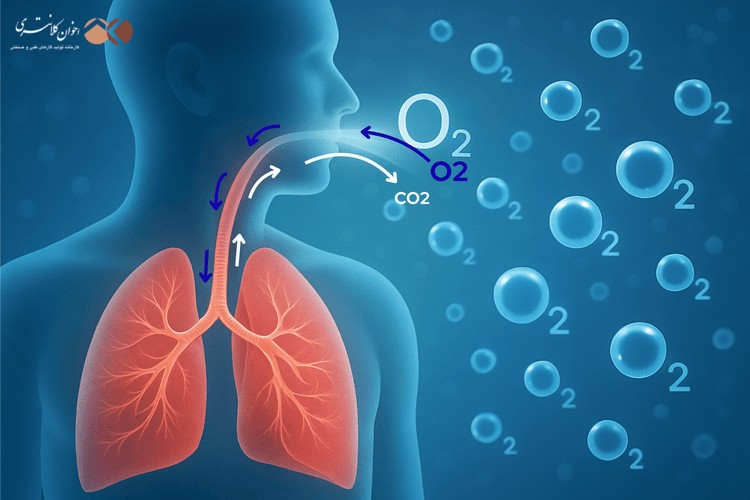 اکسیژن چیست