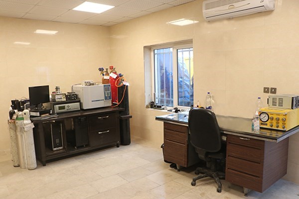 Pure Gas Analysis with a Chromatograph