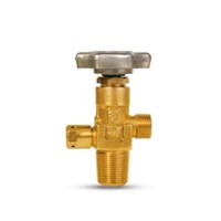 Cylinder check Valve