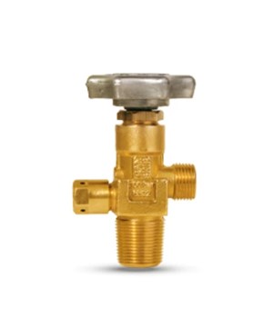 Cylinder check Valve