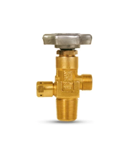 Cylinder check Valve